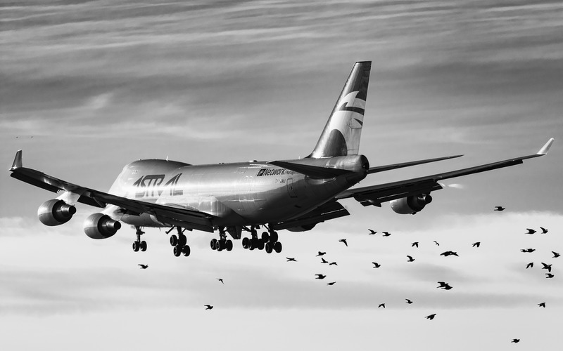 _MG_1327-BW - Astral Aviation & Network Aviation Group
