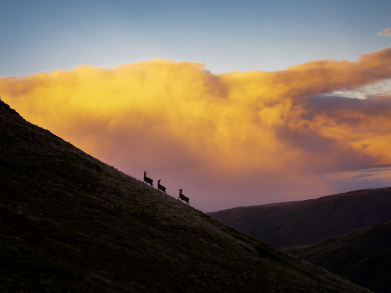IMG_8234 - The Lake District