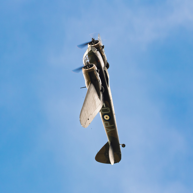 _MG_2345 - Blenheim