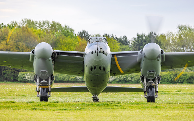 _MG_9369 - Mosquito