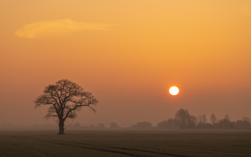 _MG_7087 - Lincolnshire