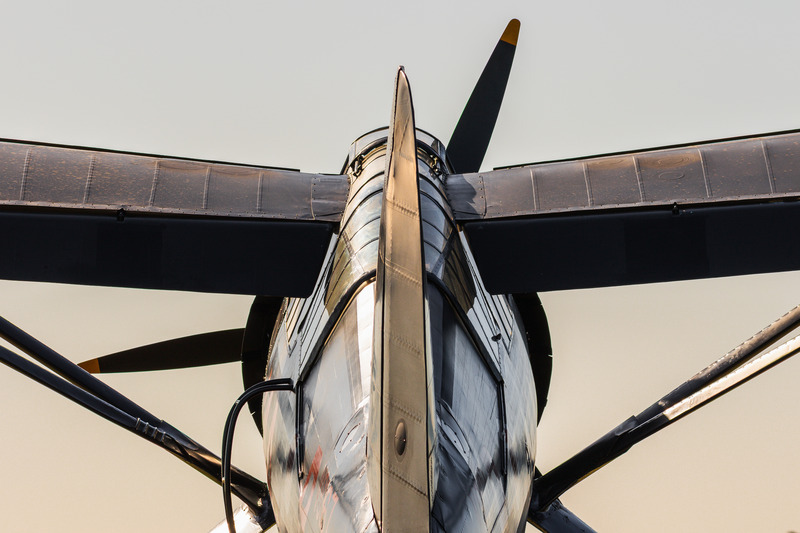 _MG_1416 - Lysander