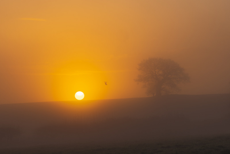 _MG_8022_2 - Nottinghamshire