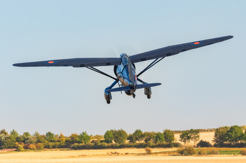 _MG_3793 - Lysander