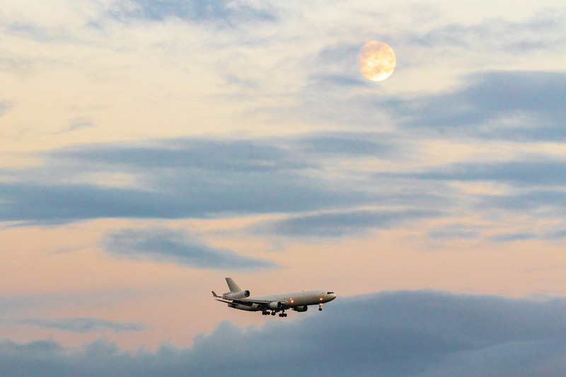 _MG_3444 - Western Global Airlines