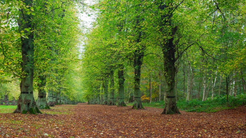 _MG_1713 - Nottinghamshire
