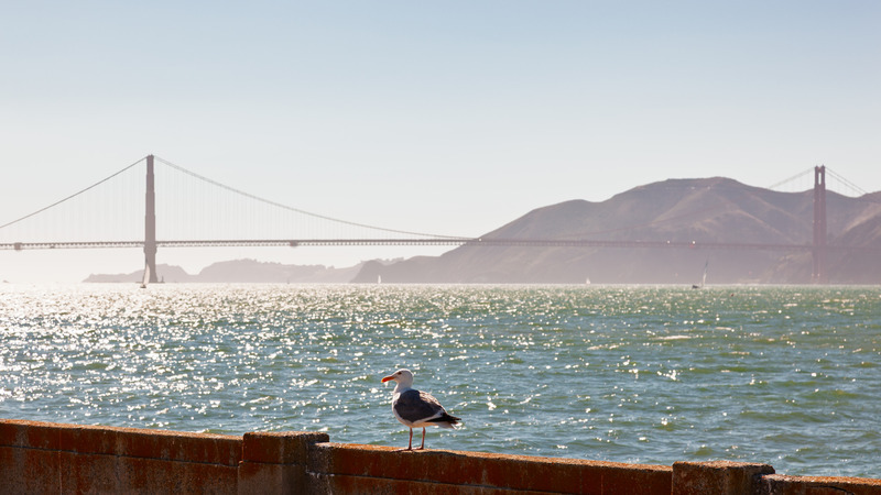 _MG_4189 - California