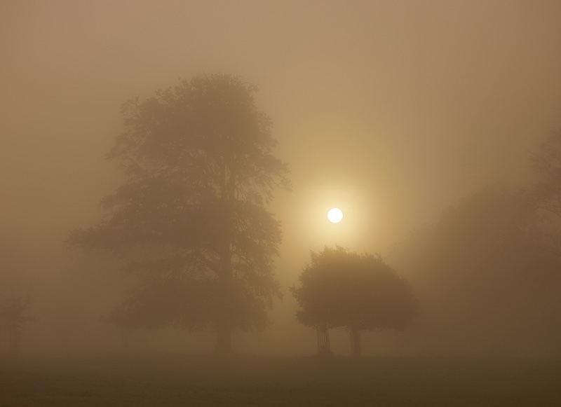 Sunrise the Mist - Holkham - Fine Art Editions