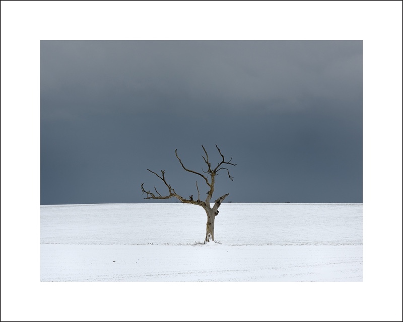 contemporary photography