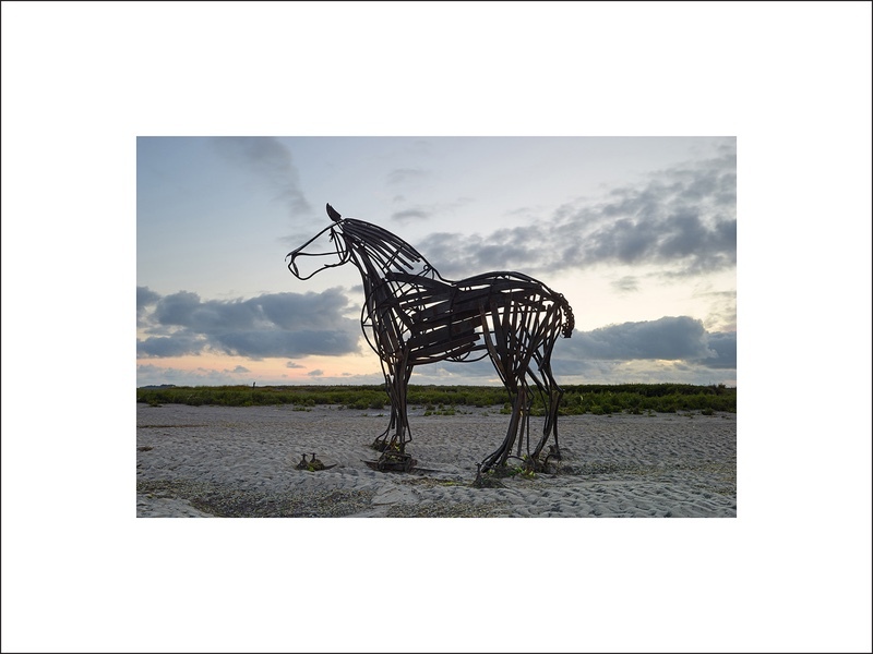 Lifeboat horse Wells Quay