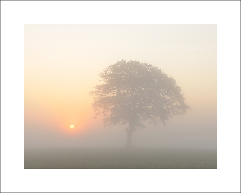 Sunrise in the mist