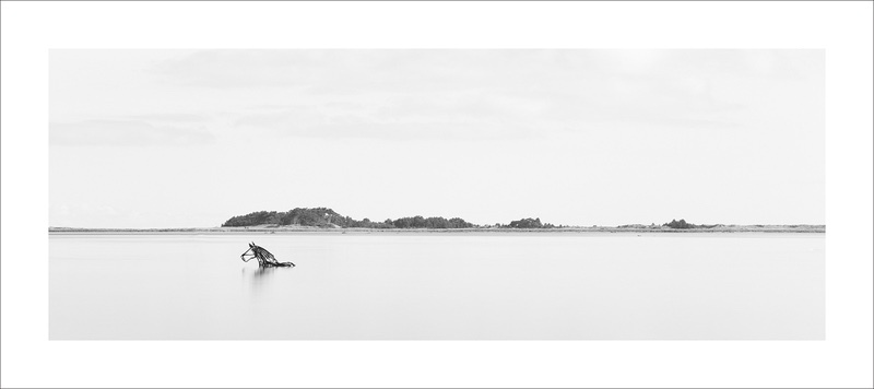 Lifeboat Horse - Wells Quay - Pano - Mini