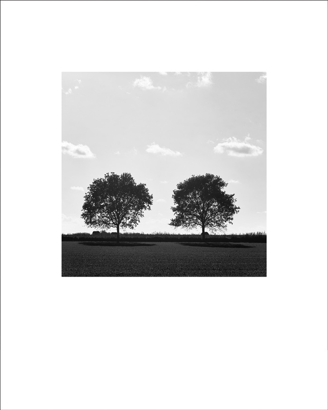 'Twofold' - Square Fine Art Editions 1/500