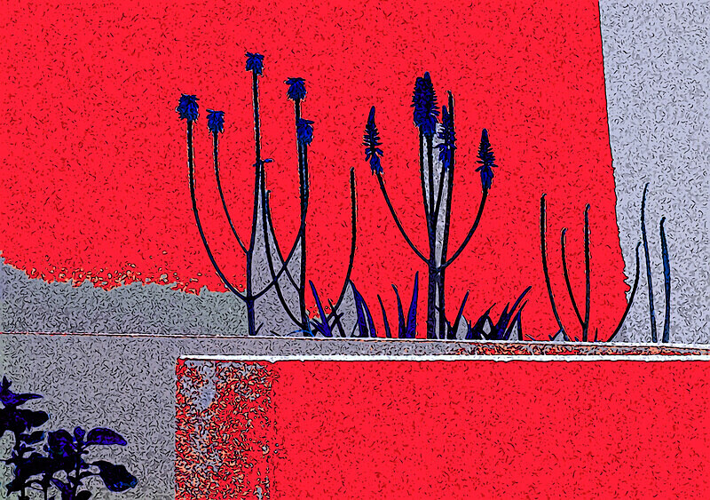 Abstract photographic print Flower Study