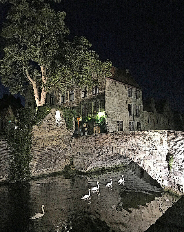 Photographic print, Swans scene, Bruges