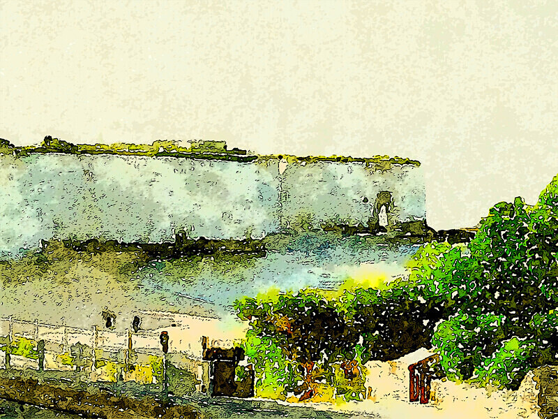 Photographic print Kingsgate Bay scene