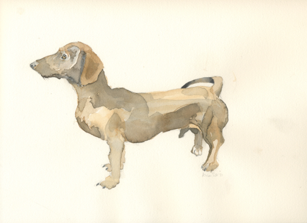 Sausage Dog - delighted to meet you