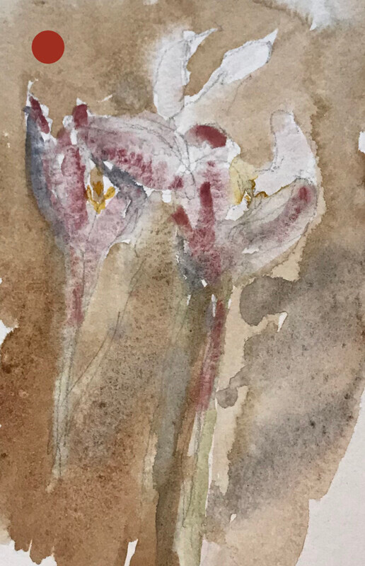 Autumn Crocuses - winter exhibition 2021