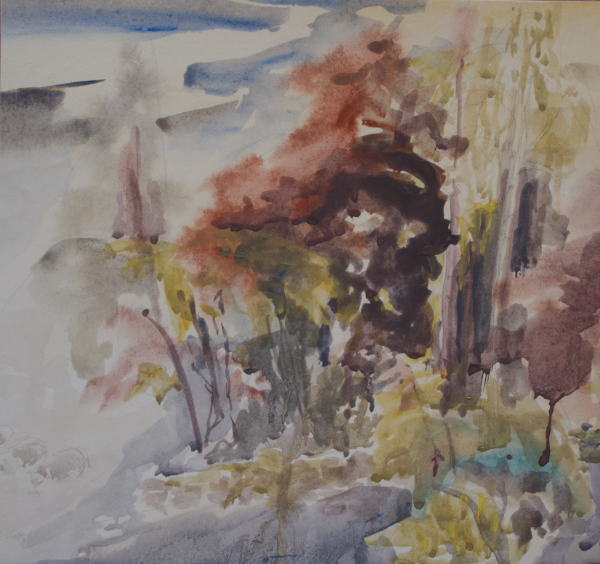 April in the wood - Walks in the Borders
