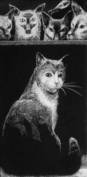 Barge Cat - Continue