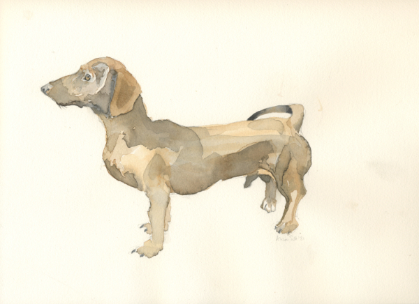 Sausage Dog - winter exhibition 2021