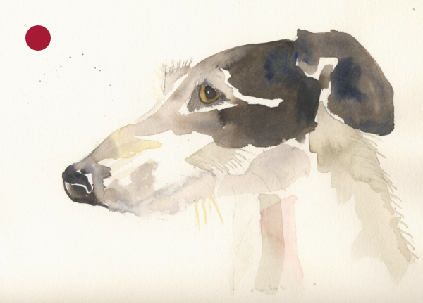 Brown Hound - delighted to meet you
