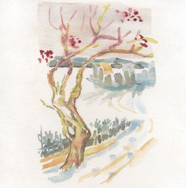 Winter Berries - Cards