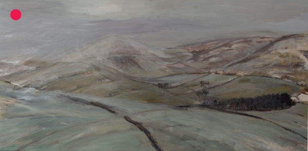 On Ladhope, January - Walks in the Borders