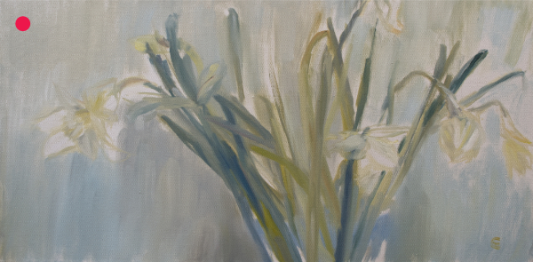 Philiphaugh daffodils - Walks in the Borders