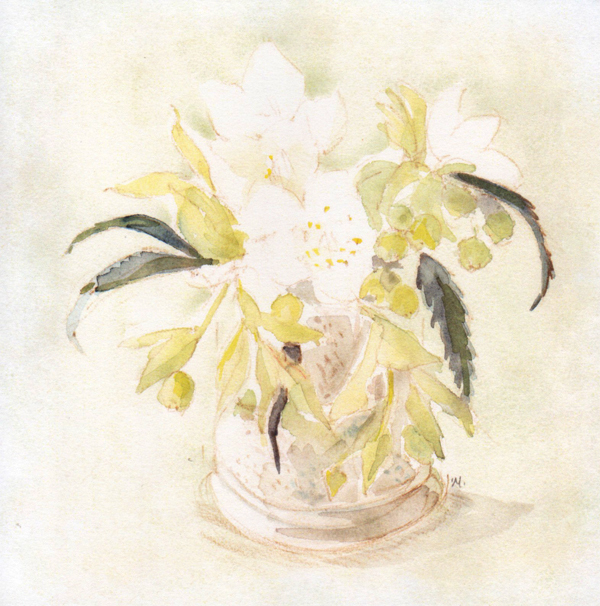 Christmas Roses - Cards