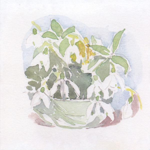 Snowdrops - Cards