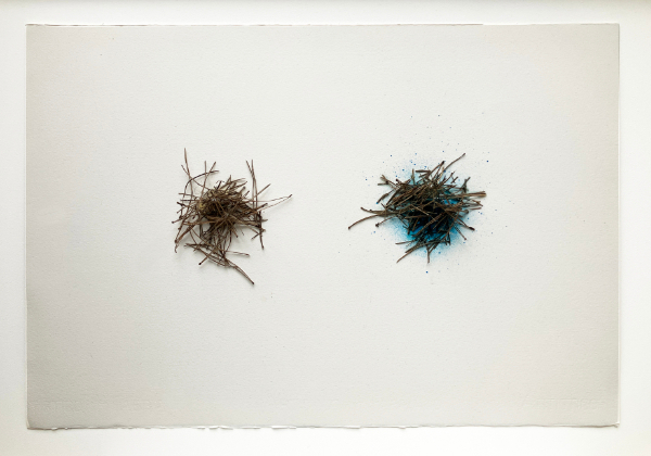 Pins and Needles - Eardstapa
