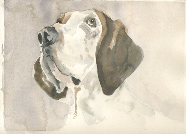 Nose Hound - delighted to meet you