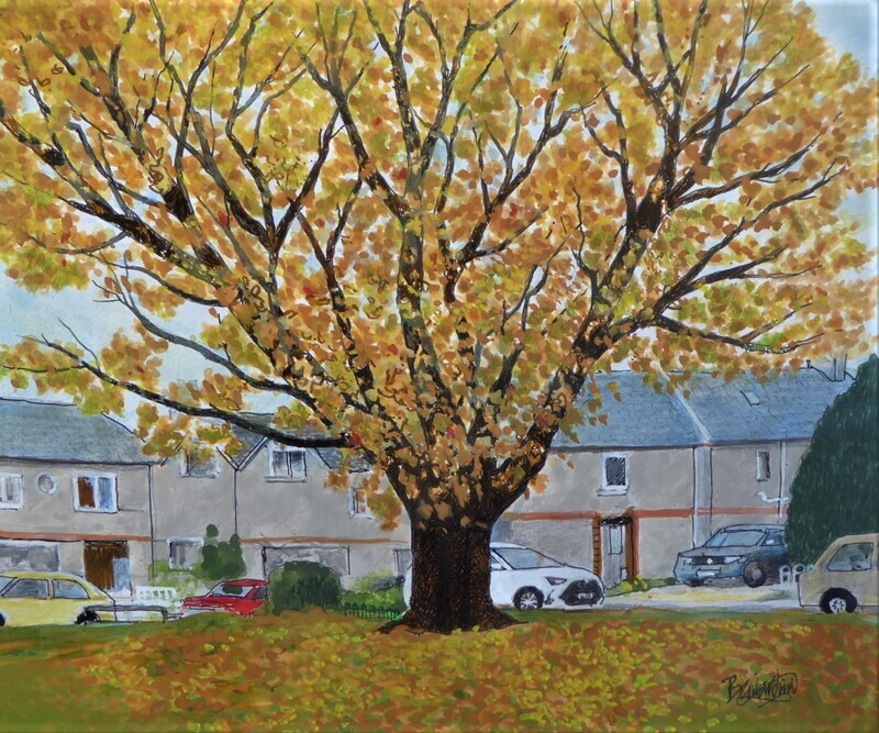 The Orange Tree, Selkirk - Still Glory