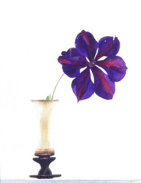 Clematis - Continue