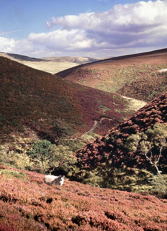  - Peak District