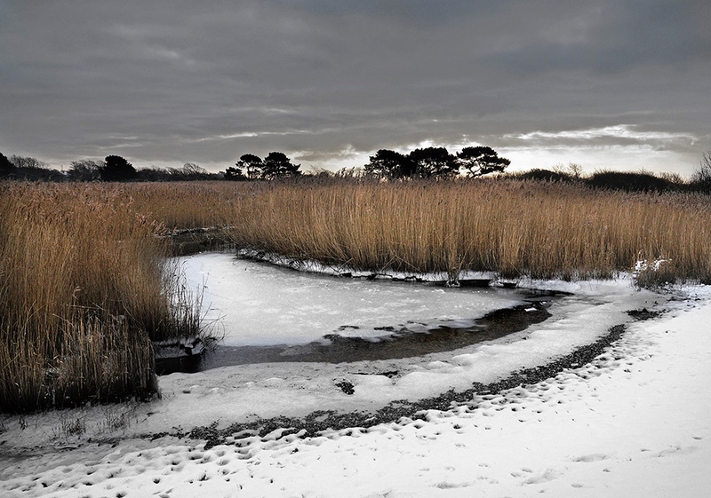  - Warsash
