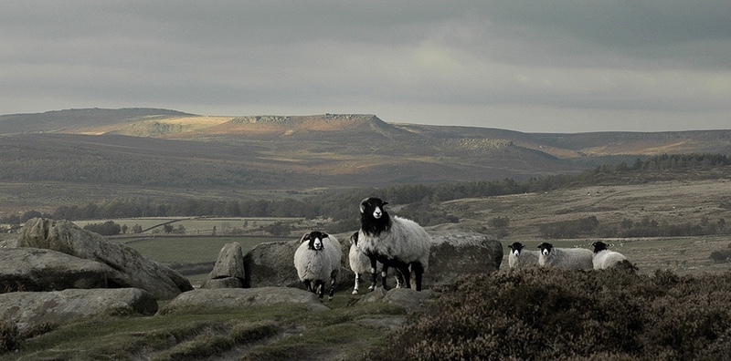  - Peak District