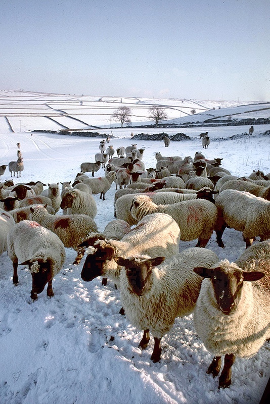  - Peak District
