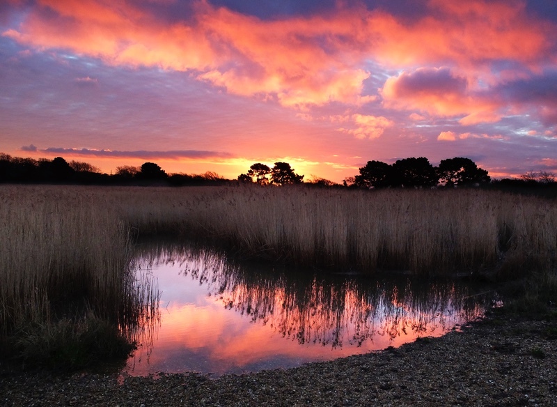  - Warsash