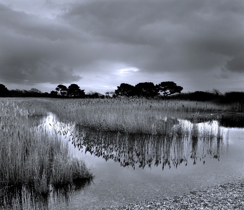  - Warsash