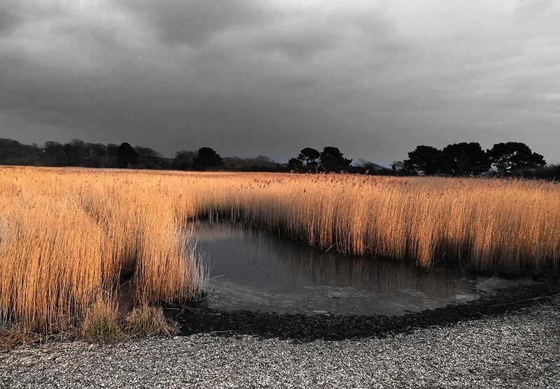  - Warsash