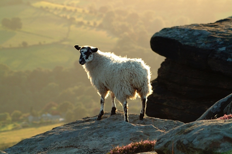  - Peak District