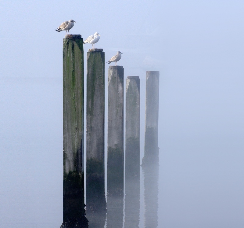  - Warsash