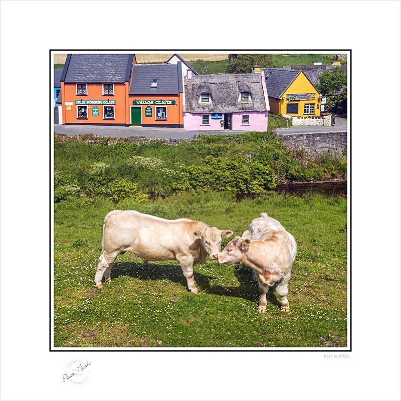 2021-555CS Best buddies - Square Format