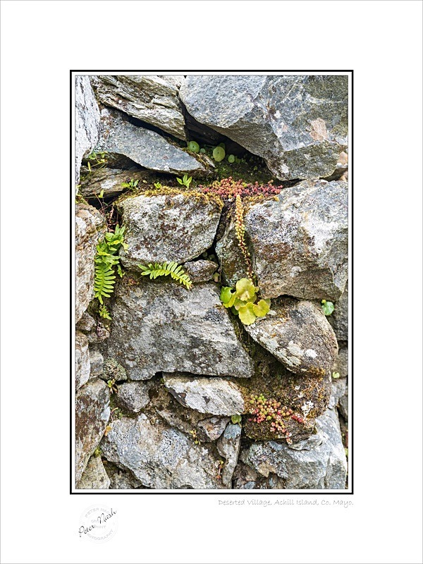 01 9x12 2021-493C Deserted Village Achill Island Co mayo - Mayo