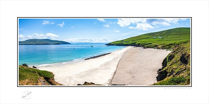 03 12x24 2023-599CP Seal Colony Great Blasket Island Co kerry - Kerry