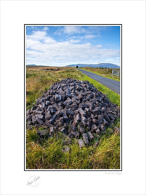 01 9x12 2022-441C Turf Co Mayo - Mayo