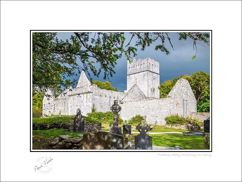01 9x12 2022-468C Muckross Abbey Killarney Co Kerry - Kerry