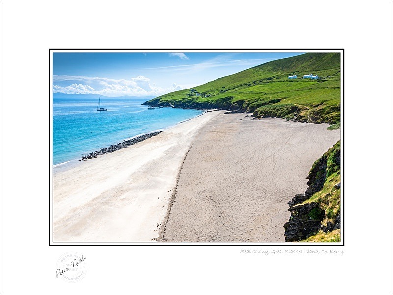 01 9x12 2023-598C Seal Colony Great Blasket Island Co Kerry - Kerry